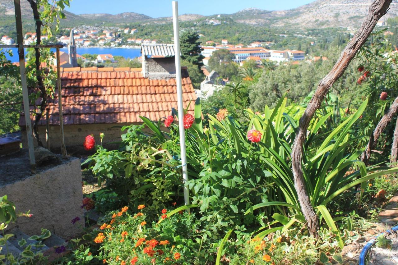 Apartments With A Parking Space Slano, Dubrovnik - 8540 Exterior foto